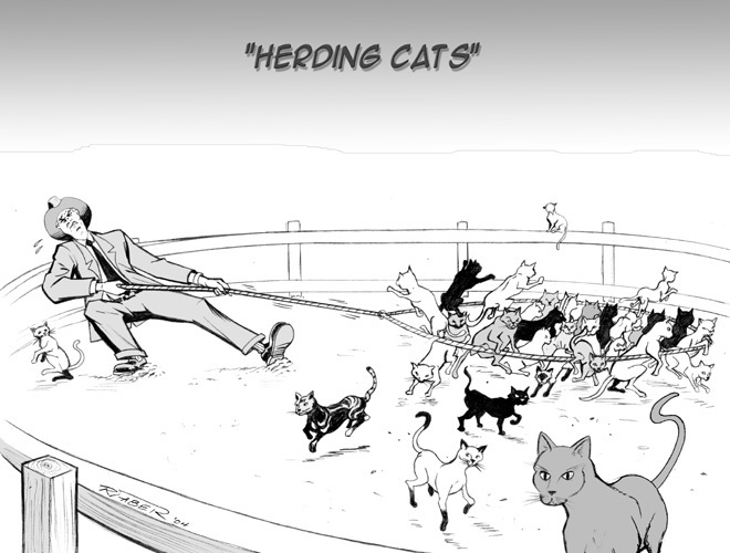 Herding Cats!