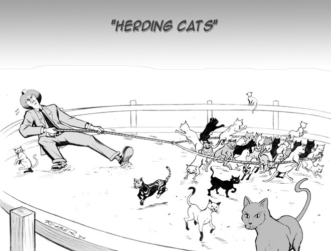 is leading your organization s change like herding cats create an